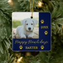 Buscar trineo adornos Oro