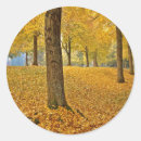 Buscar ligar pegatinas 1 º caída