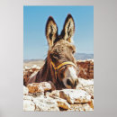Buscar burro salvaje posters Para todos