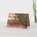 Buscar conejo blanco y negro tarjetas Rojo