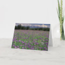 Buscar anchorage tarjetas Naturaleza