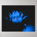 Buscar loto azul posters Abstracto