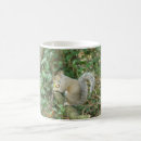 Buscar acorn tazas Adorable