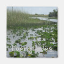 Buscar florida everglades imanes 6 º estadía