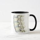Buscar cuerpo humano tazas Médico