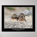 Buscar juvenil posters Naturaleza