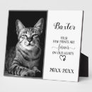 Buscar placa conmemorativa del perro placas fotograbadas General y unisex