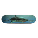 Buscar superficie tablas de skate Océano
