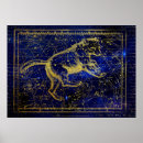 Buscar ursa posters Constelaciones
