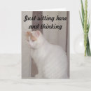 Buscar gran jefe tarjetas Fotografía