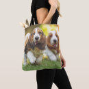 Buscar afloramiento accesorios Perrito
