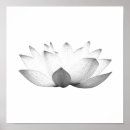 Buscar lotus posters Loto