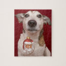 Buscar aduana juguetes Canino
