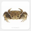 Buscar sealife pegatinas Integral