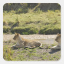 Buscar panthera pegatinas Horizontal