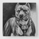 Buscar pitbull relojes de pared Perros