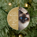 Buscar mascota memoriales adornos Gatos