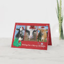 Buscar vaca de holstein tarjetas Bovino