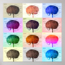 Buscar médula espinal posters Cerebro
