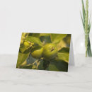 Buscar manzana fresca tarjetas Verde