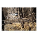 Buscar pájaros negros posters Vida silvestre