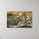 Buscar masai lienzos Naturaleza