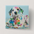 Buscar dálmata chapas Azul