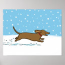 Buscar perro salchicha posters Dachshund