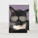 Buscar gato blanco y negro tarjetas General y unisex