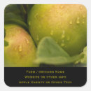 Buscar manzana verde pegatinas Manzanas