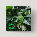 Buscar casas chapas Exterior