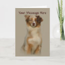 Buscar pastor tarjetas Aussie