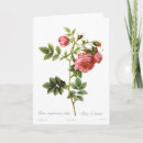 Buscar el cultivar un huerto tarjetas Color de rosa