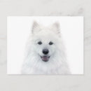 Buscar pintura del perro postales Blanco