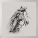Buscar dibujo animales posters Ecuestre