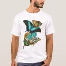 Buscar seguy Mariposa