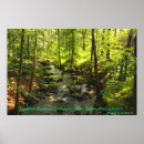 Buscar arroyos posters Bosque