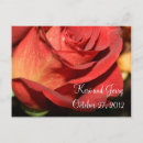 Buscar flora y fauna postales Rosa