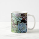 Buscar cactus verde tazas Vegetación