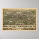 Buscar birdseye Histórico