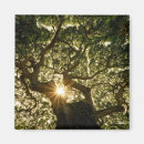 Buscar rayo de sol redondos imanes Árbol