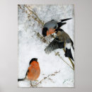 Buscar perro de caza arte Para todos