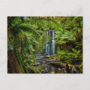 Buscar paisaje tropical postales Cascada