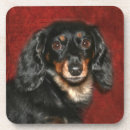 Buscar pelo animal posavasos Dachshund
