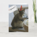 Buscar funny squirrel tarjetas Divertido