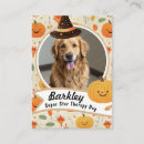 Buscar animal tarjetas de visita Para todos