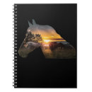 Buscar caballos cuadernos Escuela