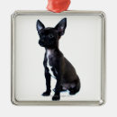 Buscar oficina adornos Perros