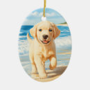 Buscar labrador retriever adornos Laboratorio