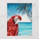 Buscar escarlata postales Guacamayo